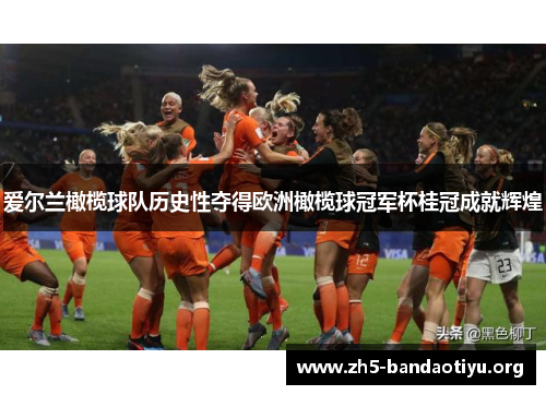 爱尔兰橄榄球队历史性夺得欧洲橄榄球冠军杯桂冠成就辉煌