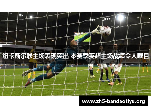 纽卡斯尔联主场表现突出 本赛季英超主场战绩令人瞩目