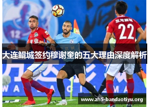 大连鲲城签约穆谢奎的五大理由深度解析