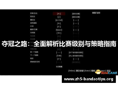 夺冠之路：全面解析比赛级别与策略指南