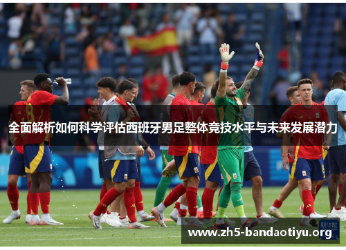 全面解析如何科学评估西班牙男足整体竞技水平与未来发展潜力 全面解析如何科学评估西班牙男足整体竞技水平与未来发展潜力