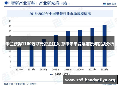 米兰获得1100万欧元资金注入 意甲未来发展前景与挑战分析
