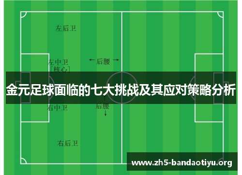 金元足球面临的七大挑战及其应对策略分析