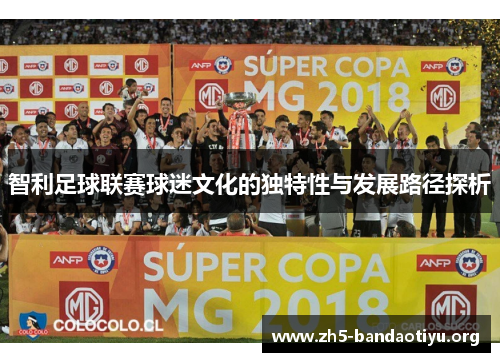 智利足球联赛球迷文化的独特性与发展路径探析